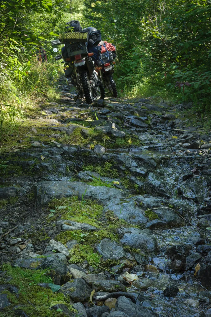 Trail and creek merge
