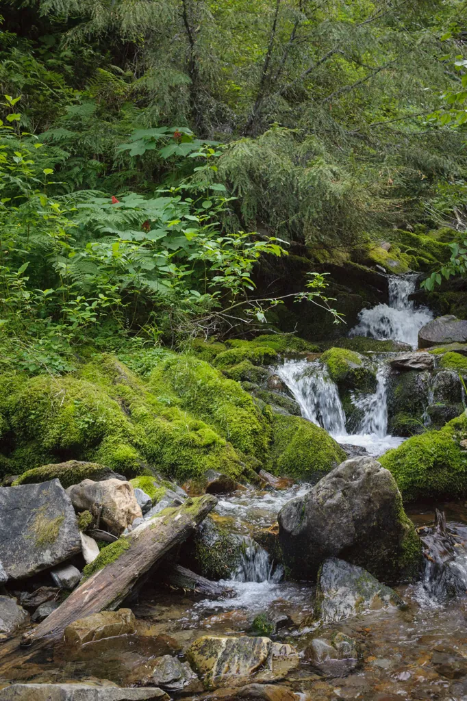 Lost Lake Creek