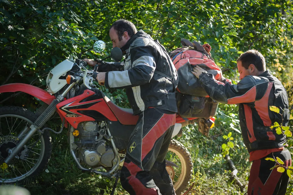 The CRF takes a nap