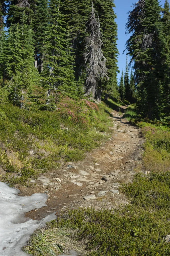 Lookout Mountain Trail 52