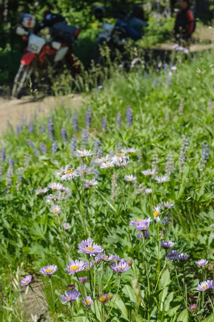 Stop to smell the flowers