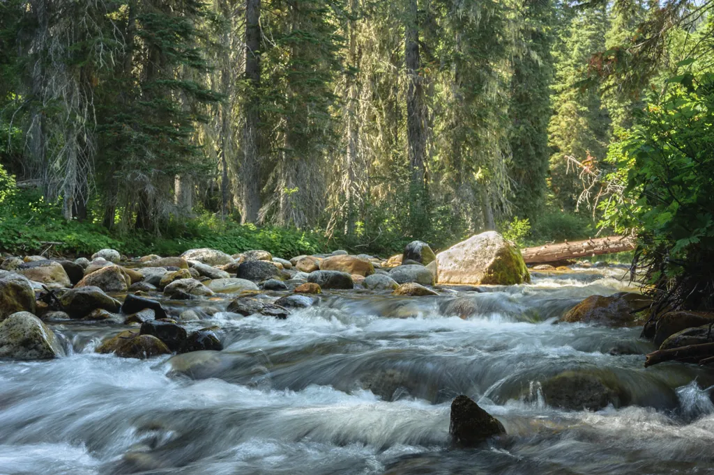 Little North Fork of the Clearwater River