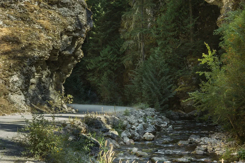 Fishhook Creek