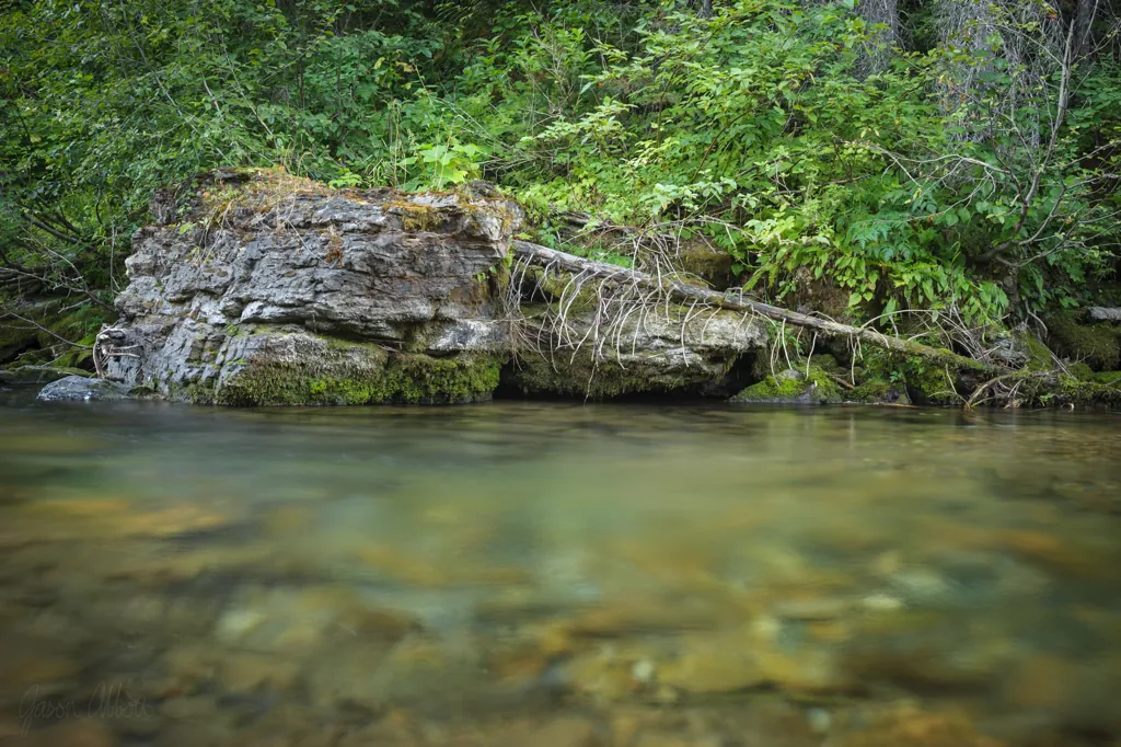 Loop Creek
