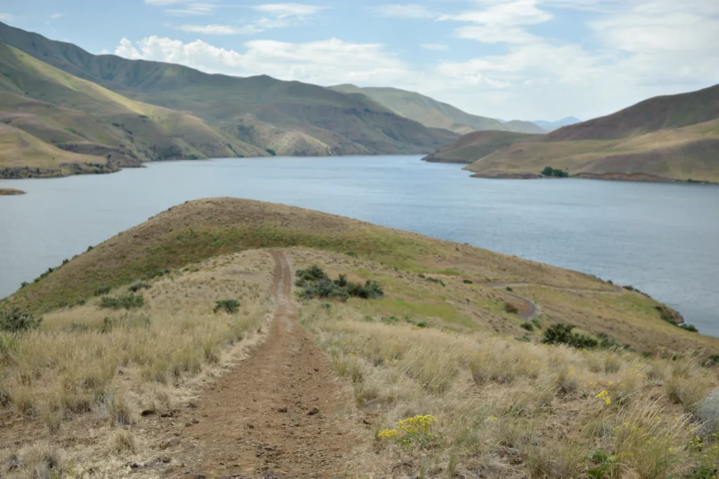 Tracks to the water