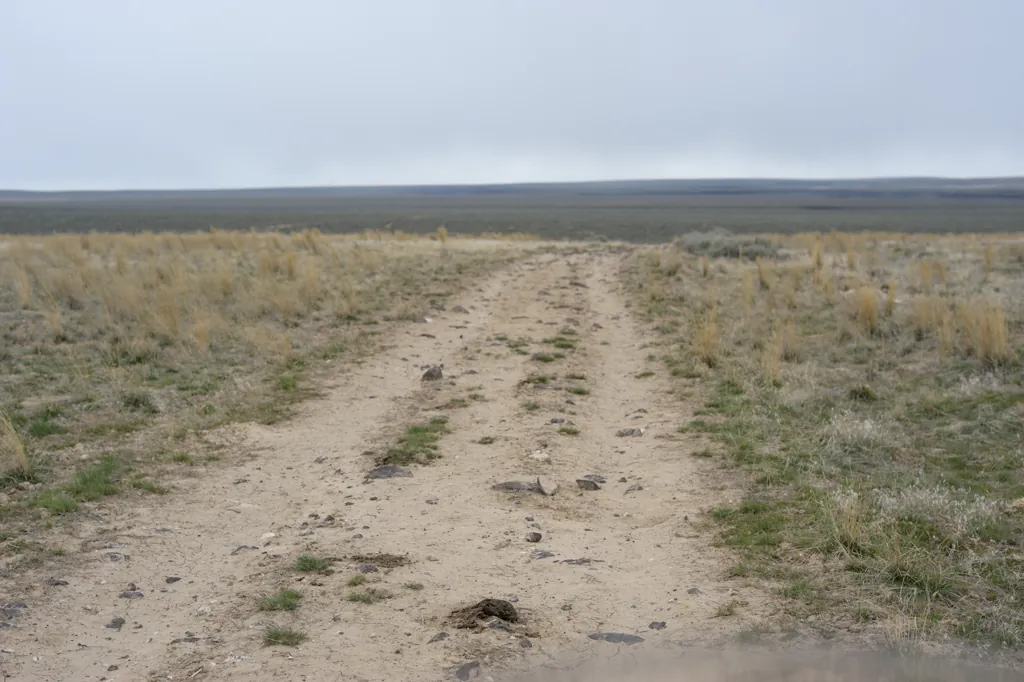 Bruneau desert
