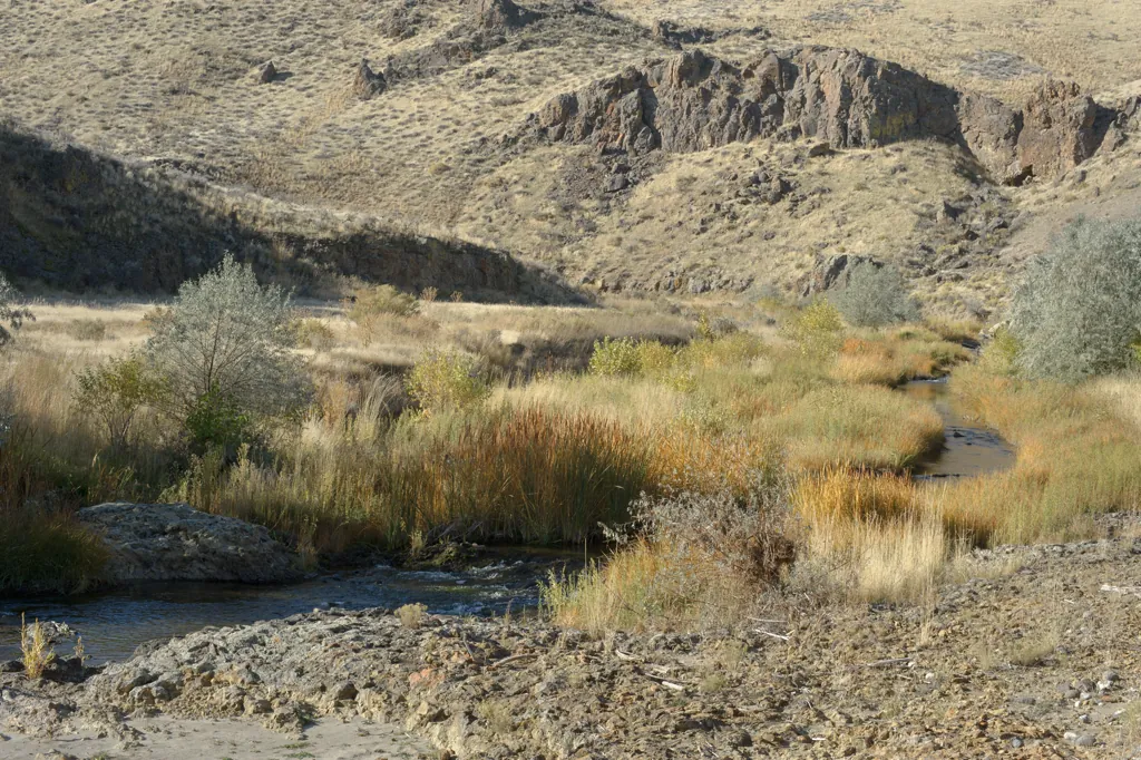 Succor Creek