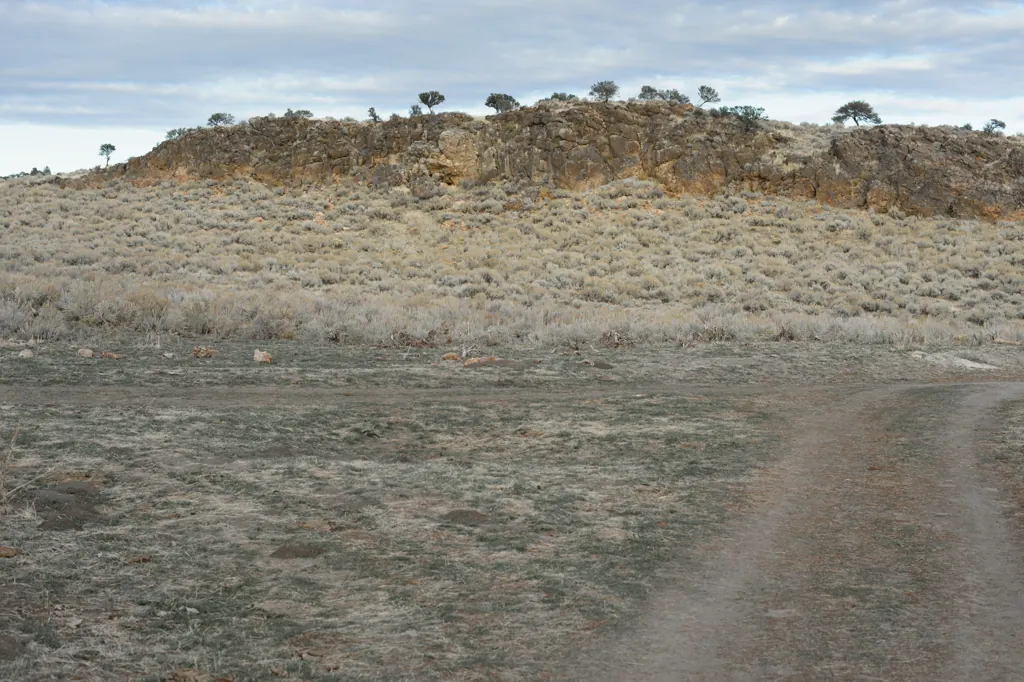 Cow pie crossroads