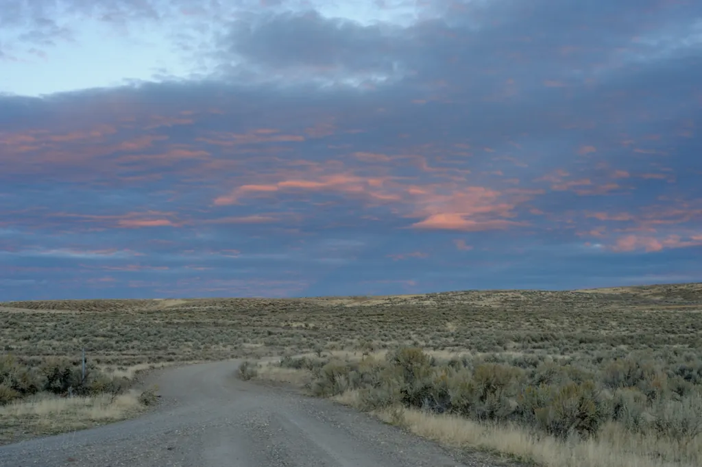 Desolation