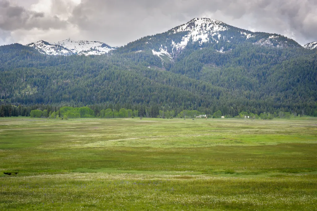 Meadow and mountain