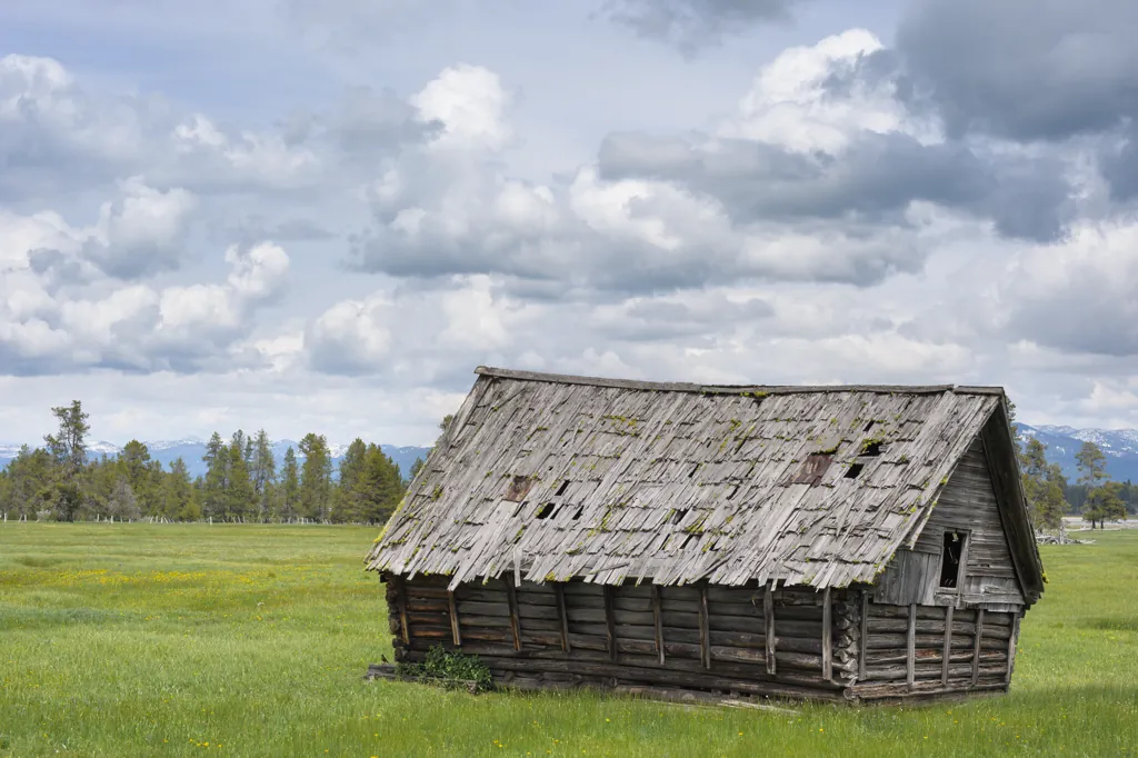 Old wood