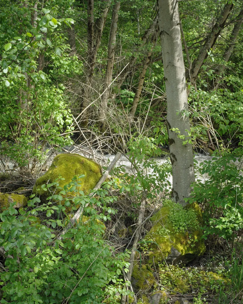 Skookumchuck