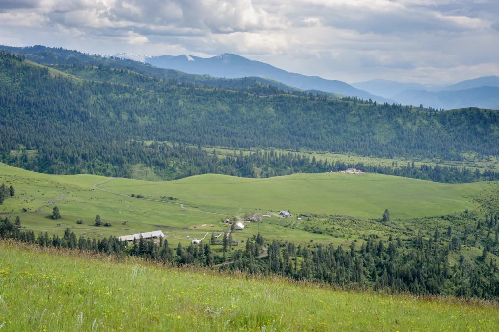 Upper meadow
