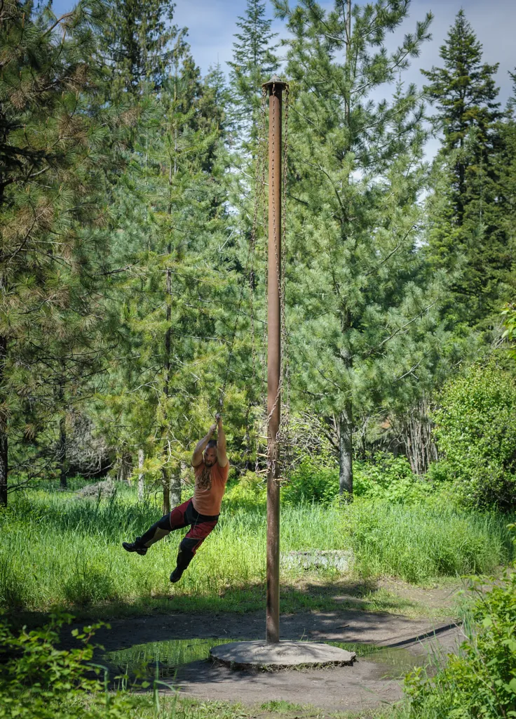 Pole swing