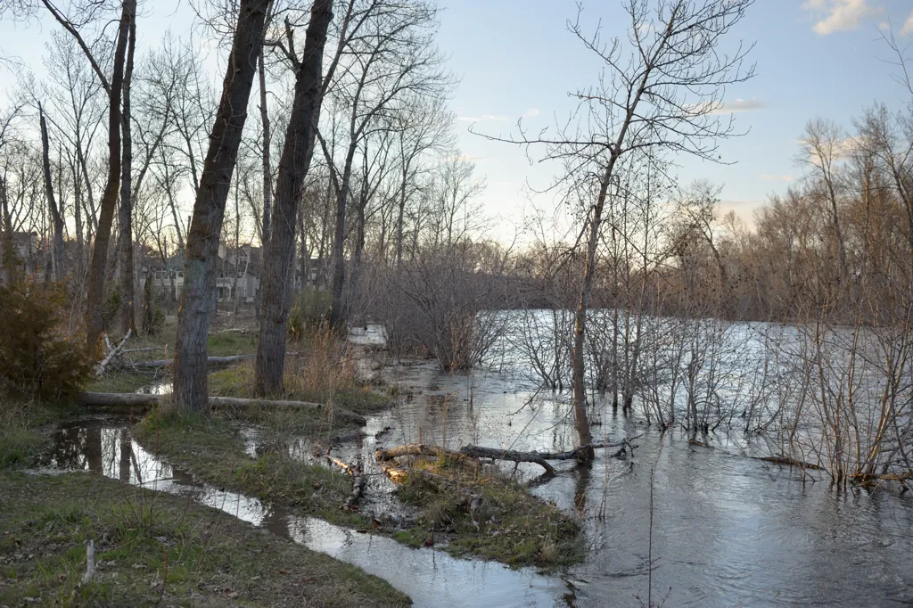 Trails become small canals
