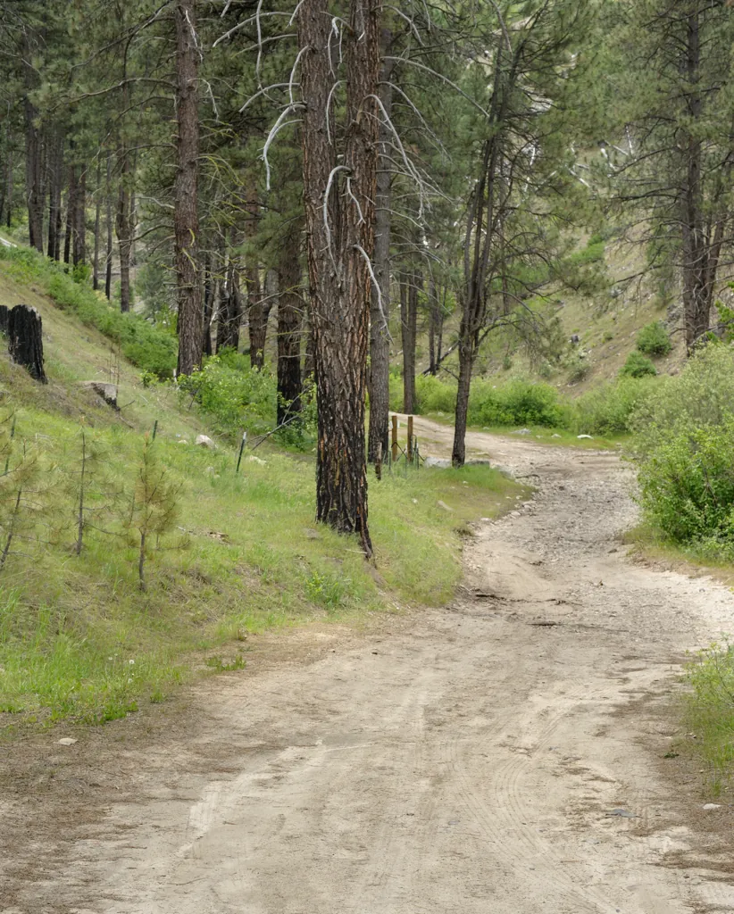 Willow Creek