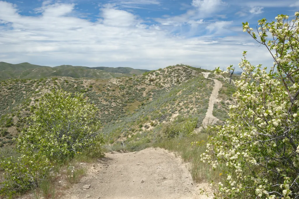 Trail 500