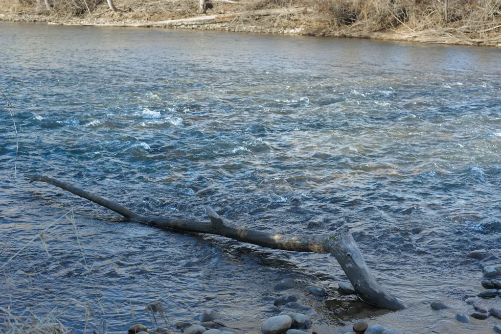 Blue riffle