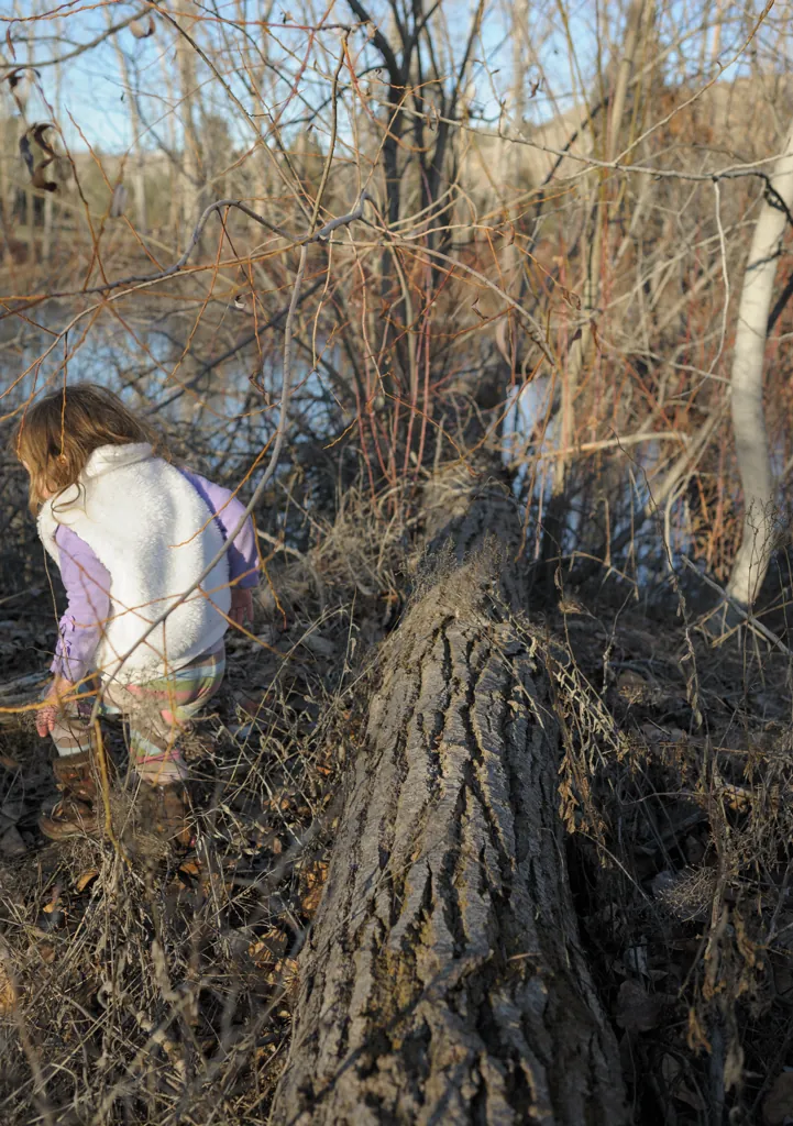 Sneaking through the brush