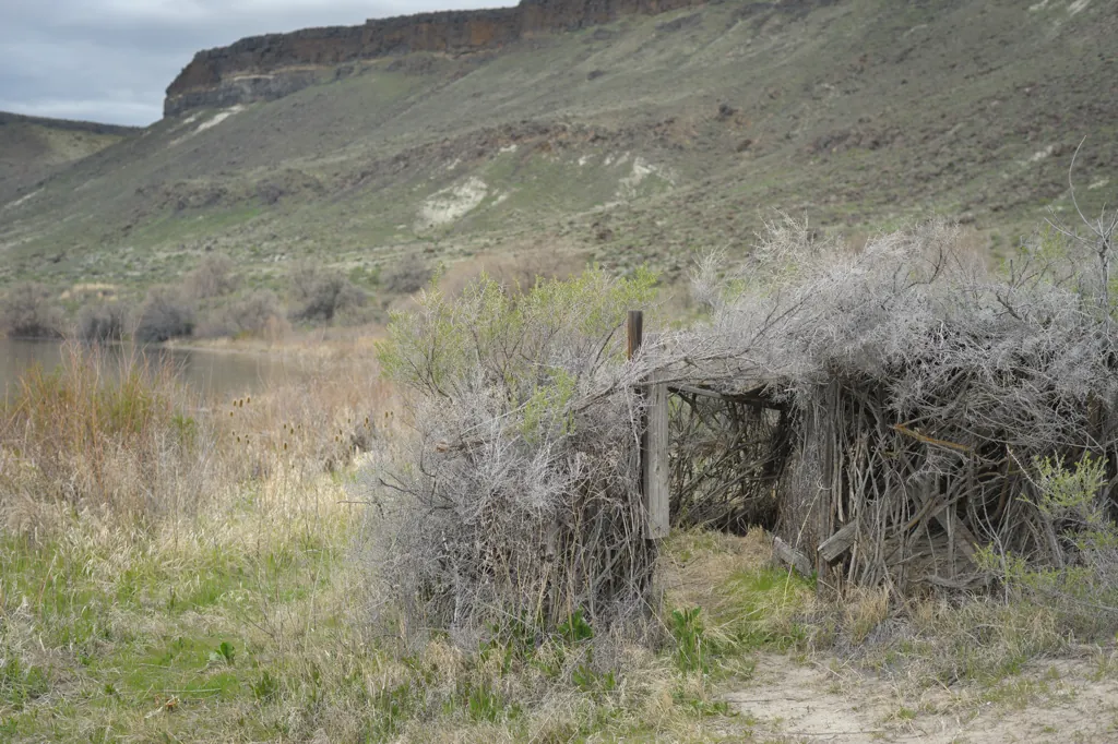 Duck blind