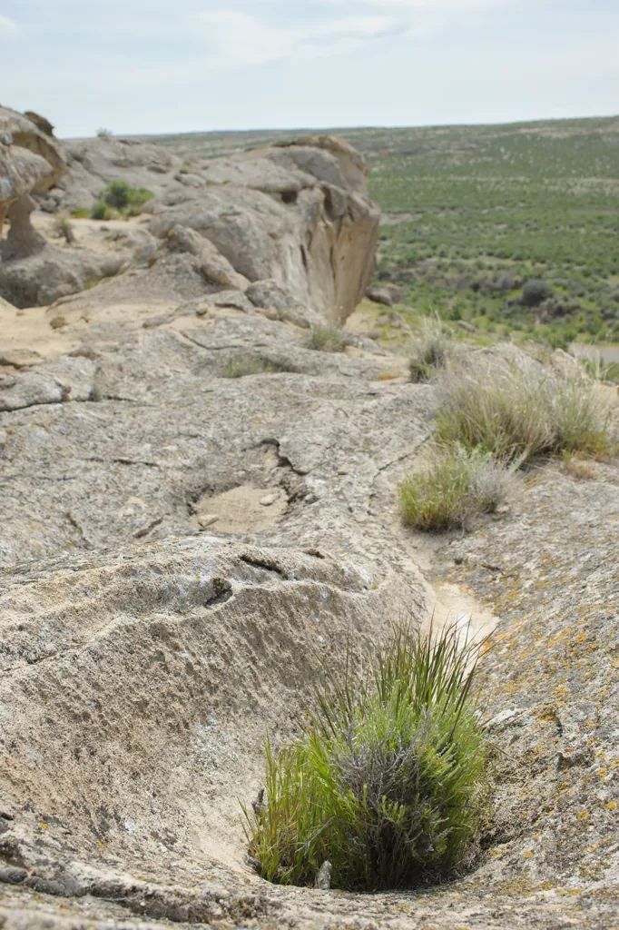 Oolite