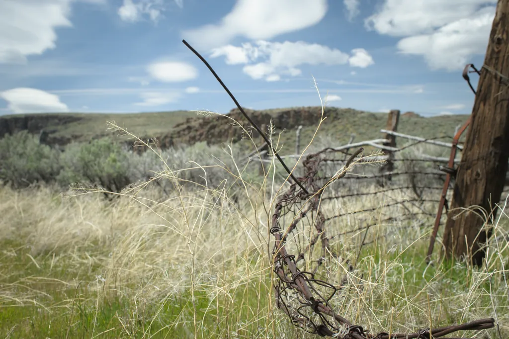Wire fence