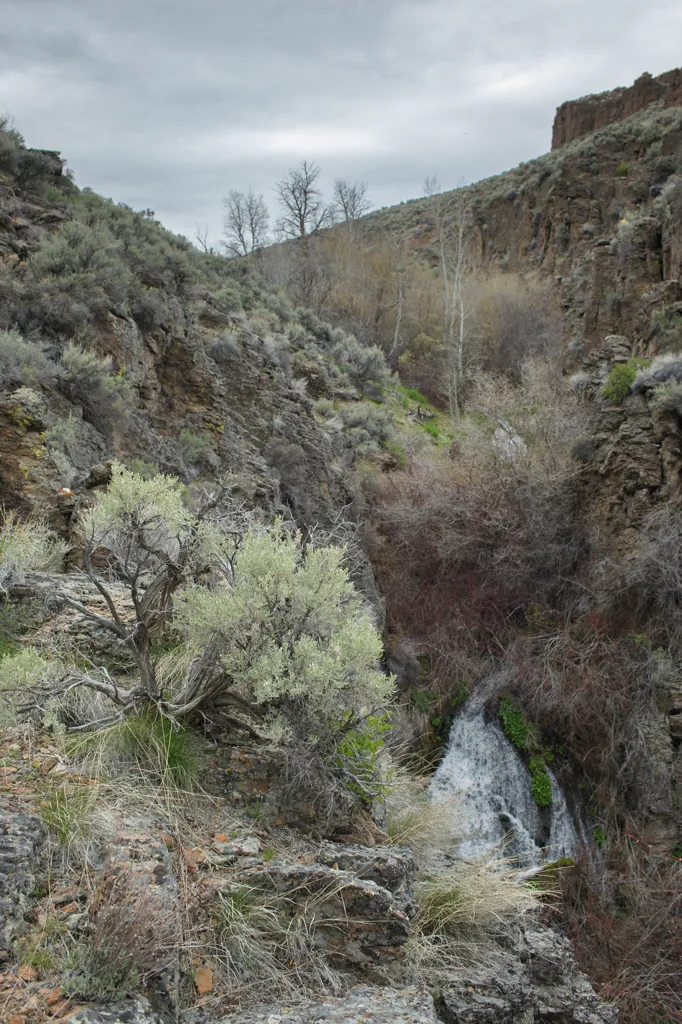 Zeno Falls