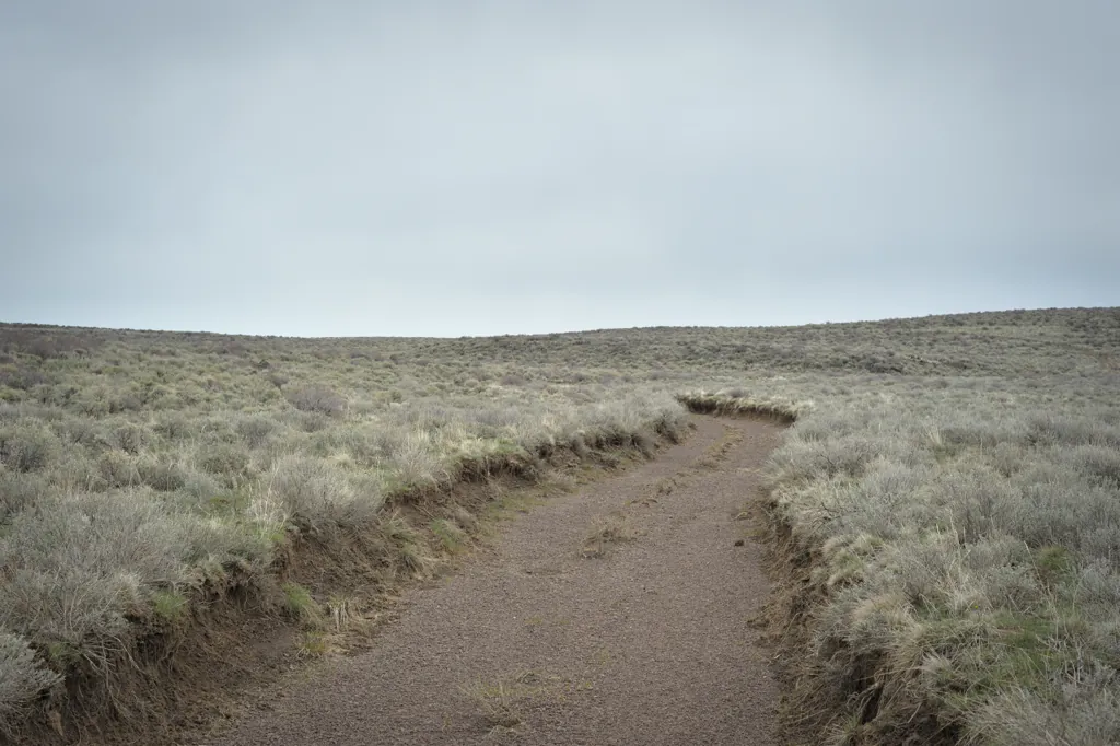 Creek bed