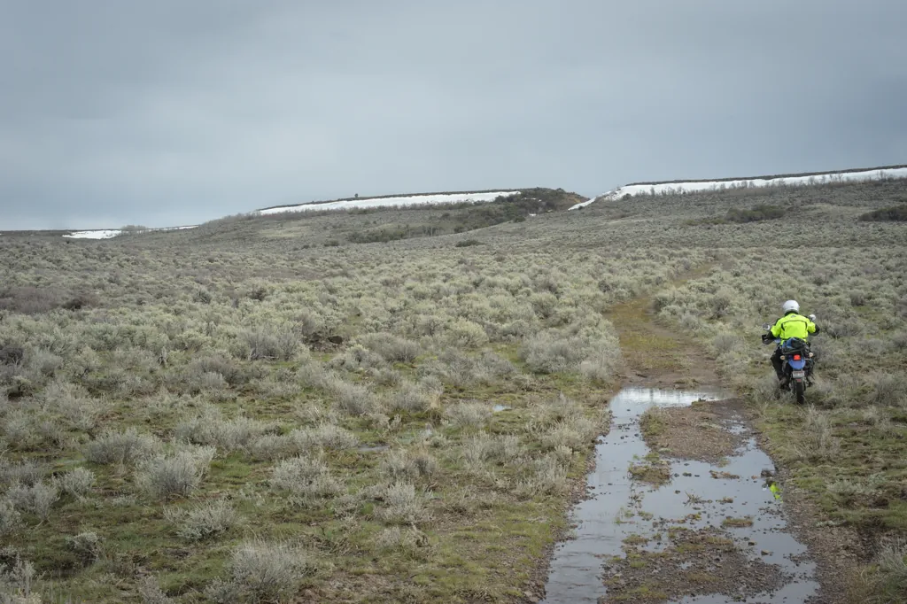 Wild Horse Table
