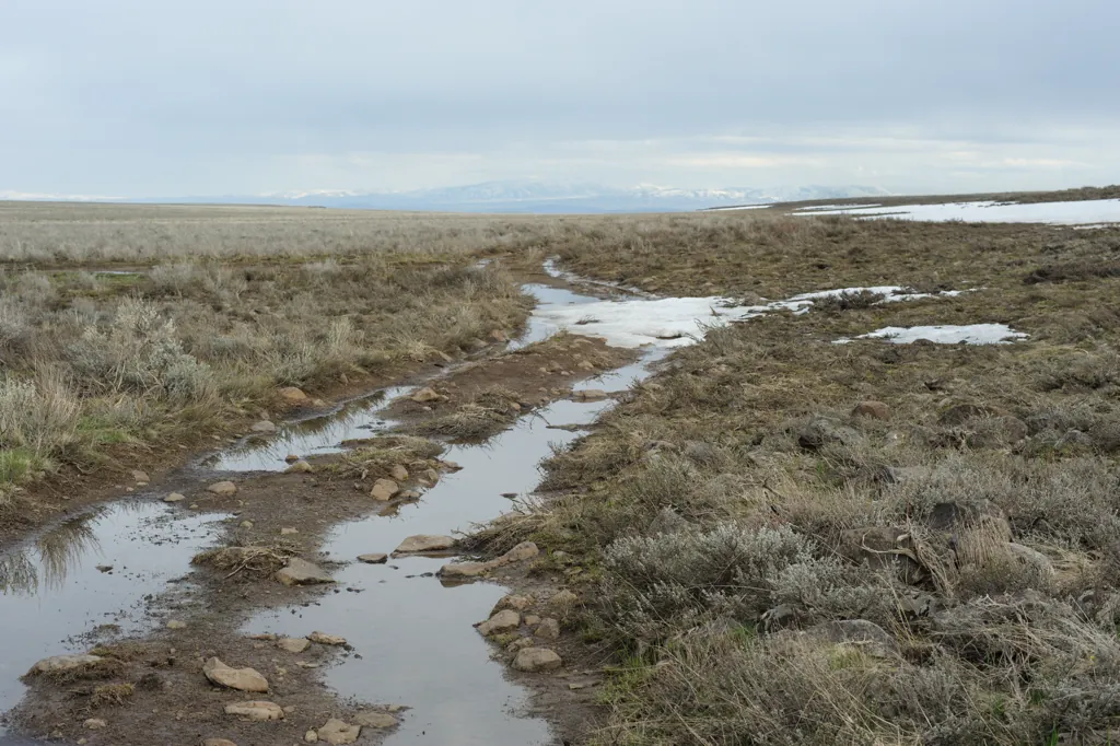 Dry Plateau?