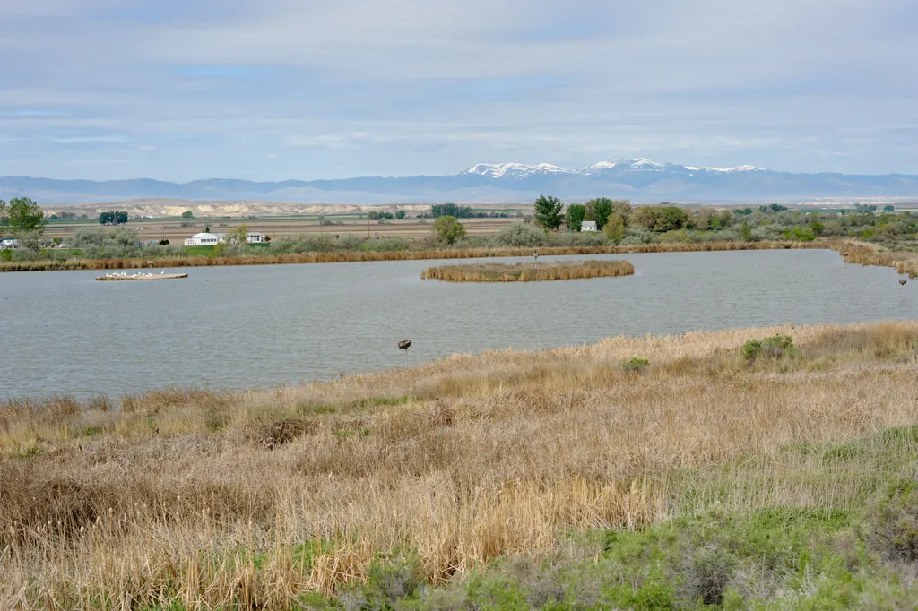 Ted Trueblood pond