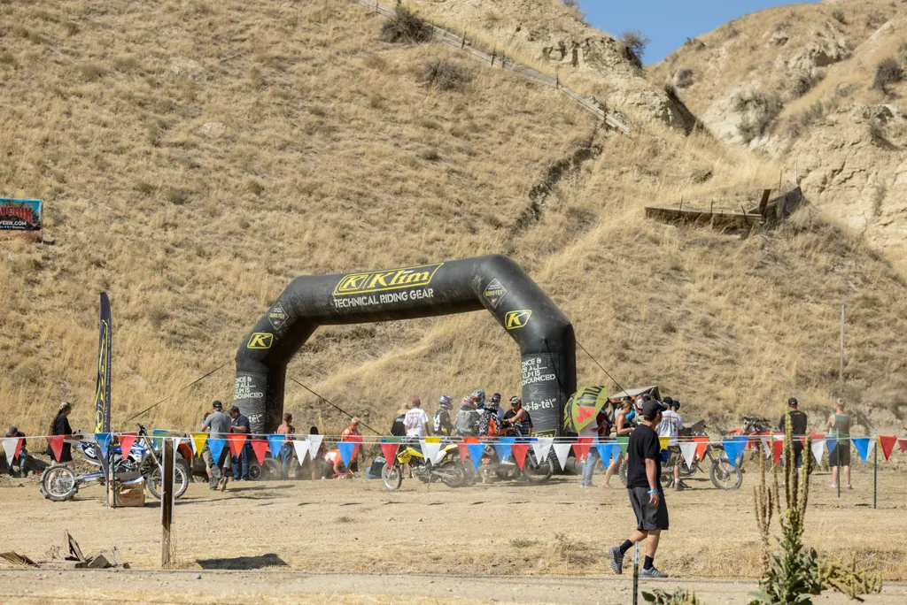 Race gate