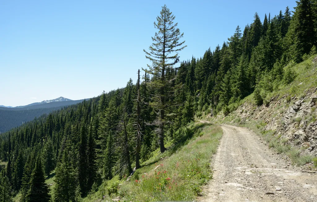 Snow Peak in the distance