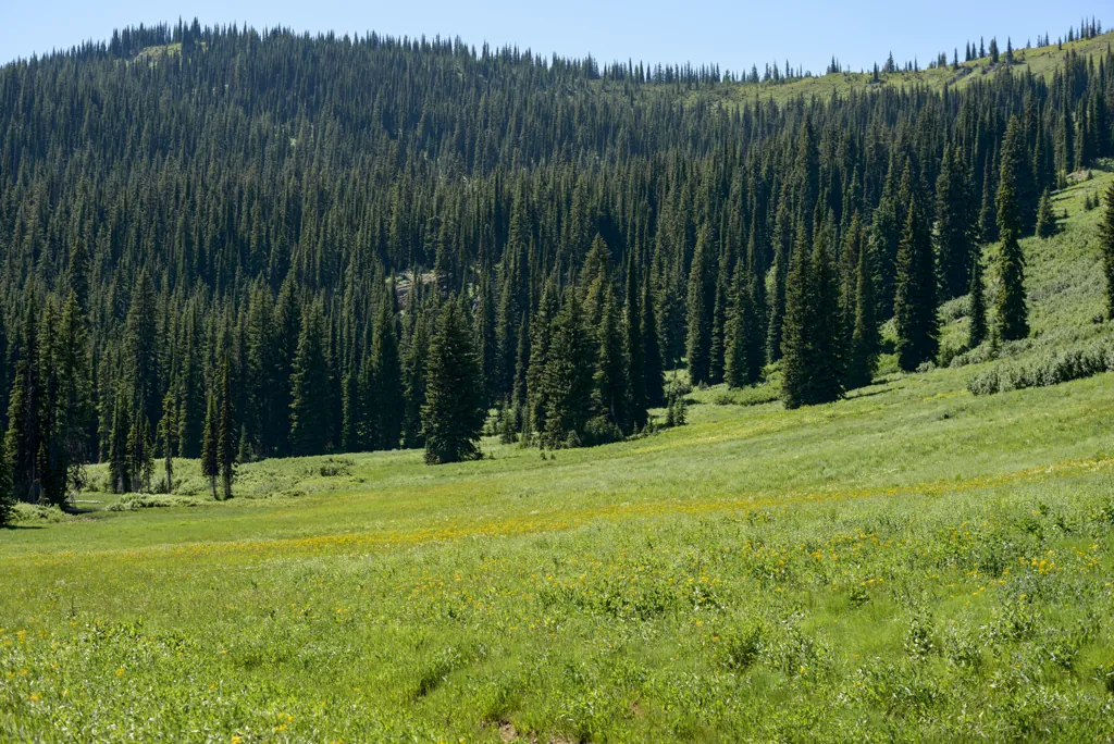 Below Hoodoo Pass