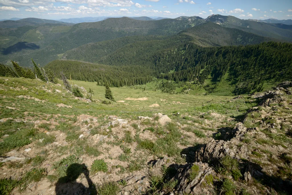 Into Montana
