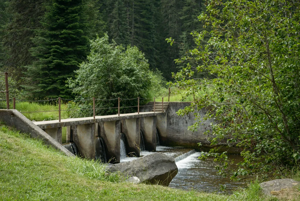 Palouse River CCC Dam