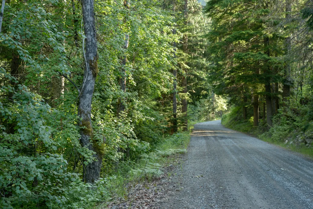 Road along Marble Creek
