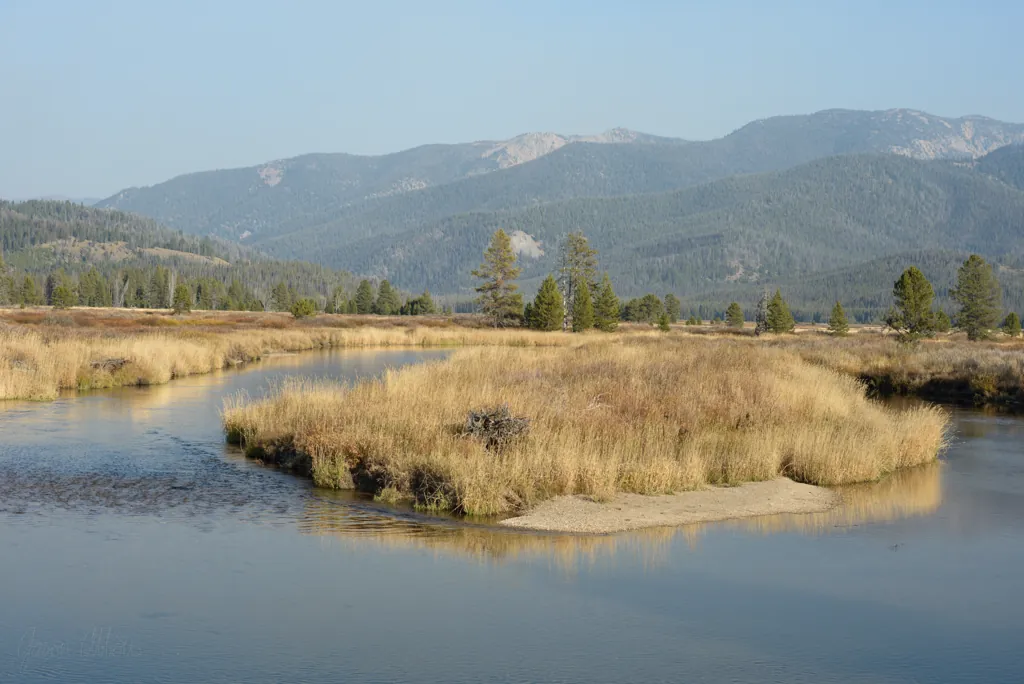Bear Valley Creek isle