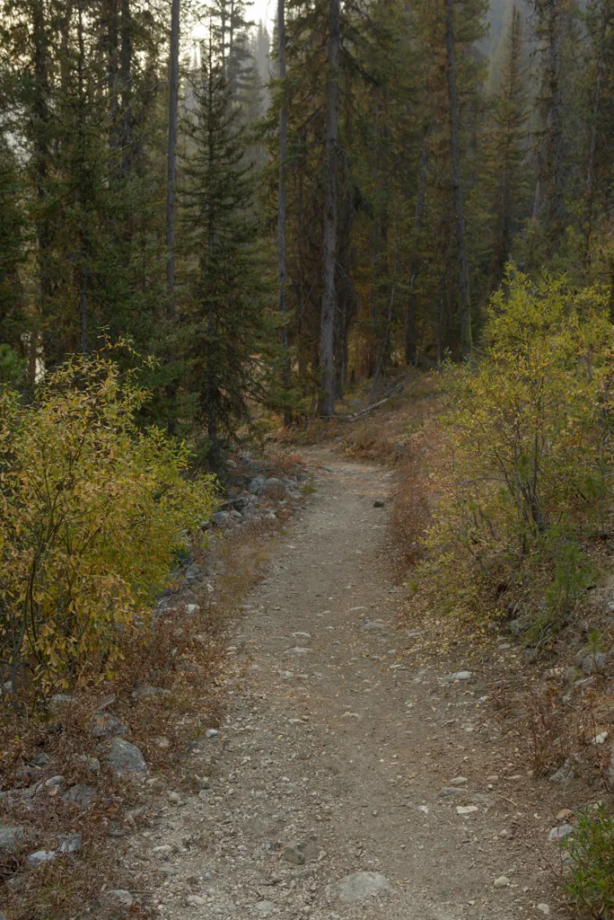 Trail down to the river