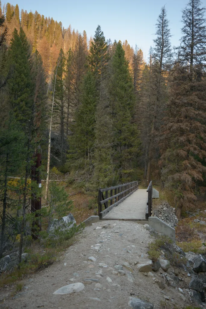 Bridge into wilderness