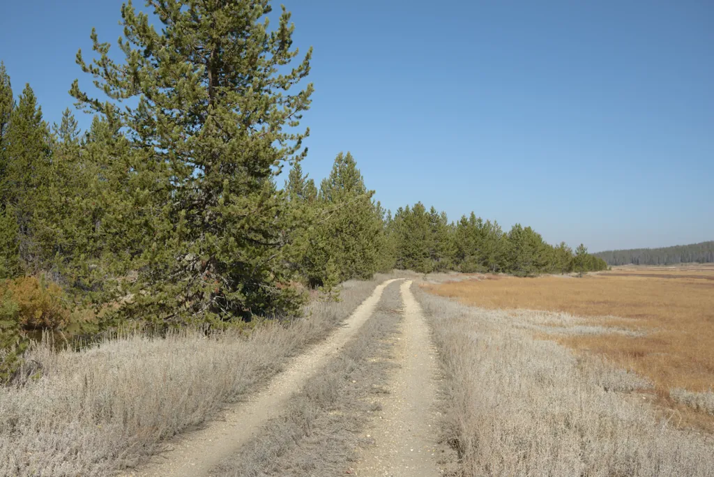 Two-track in the valley