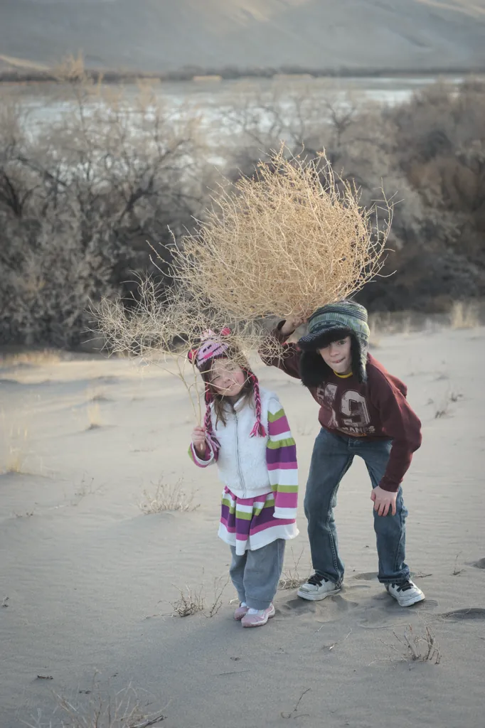 Bird nest hats, they said
