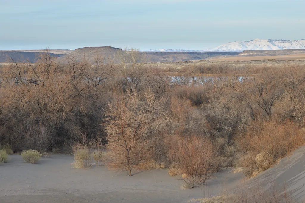 Snake River Plane
