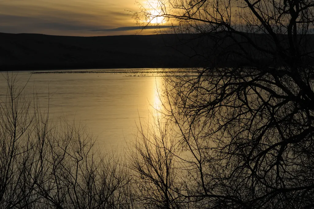 Enough light left