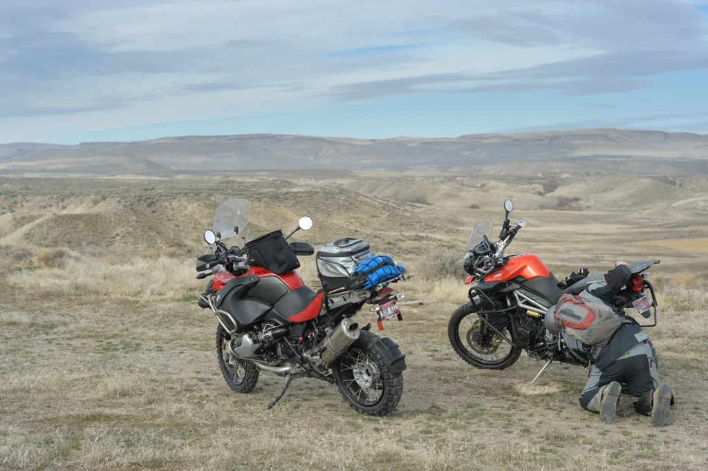 At the side of Succor Creek Road