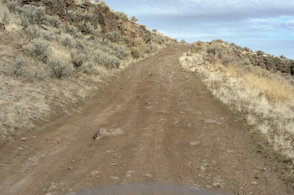 Road between columns