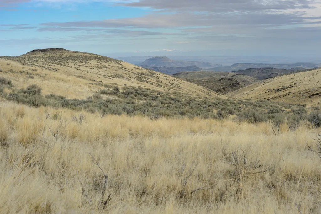 North across the valley