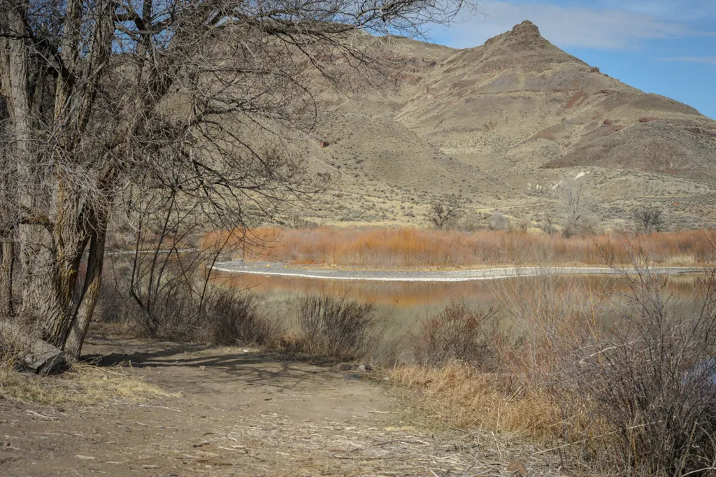 Owyhee riverside