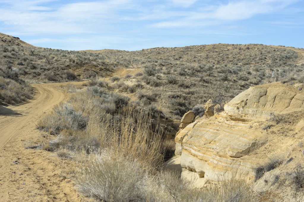 Desert Graffiti