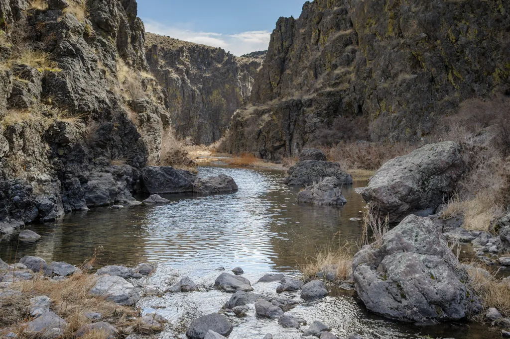 Not-so Dry Creek